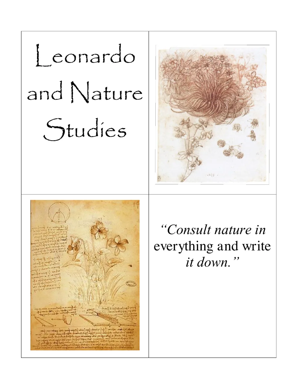 Cut-out piece titled Leonardo and Nature Studies with two notebook sketches of flowers and the quote 'Consult nature'