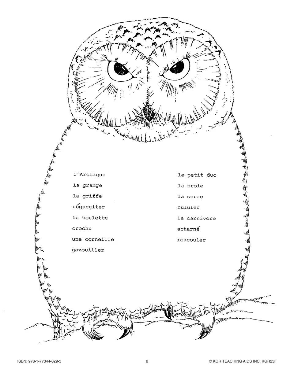 Second owl vocabulary page lists 15 French terms, including la proie (prey), la serre (talon) and hululer (hoot)