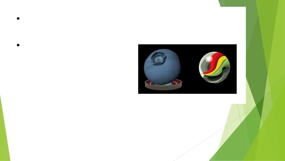 Scale notes continued: students fill two bullets beside images of a blueberry in a stadium and a glass marble