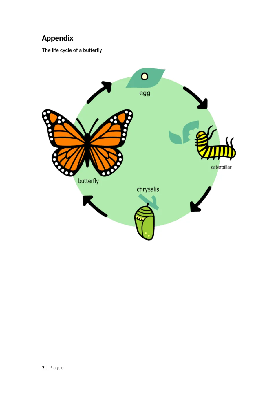 Appendix diagram: arrows link egg on a leaf, caterpillar, chrysalis and monarch butterfly in a four-stage circle