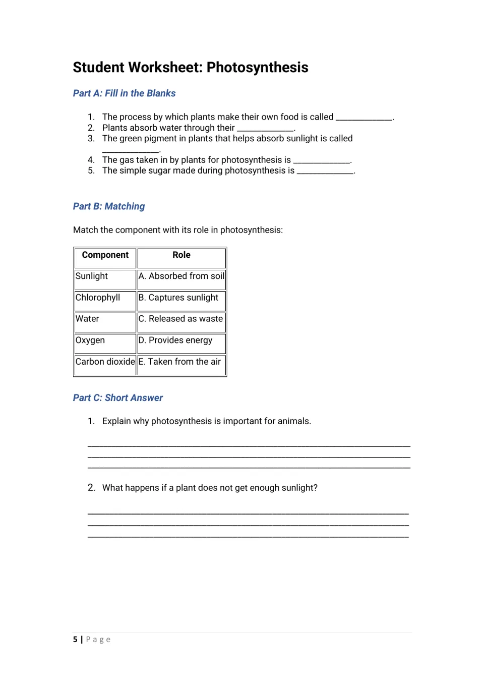 Student photosynthesis worksheet: five fill-in-the-blanks, five component matches, and two short answers