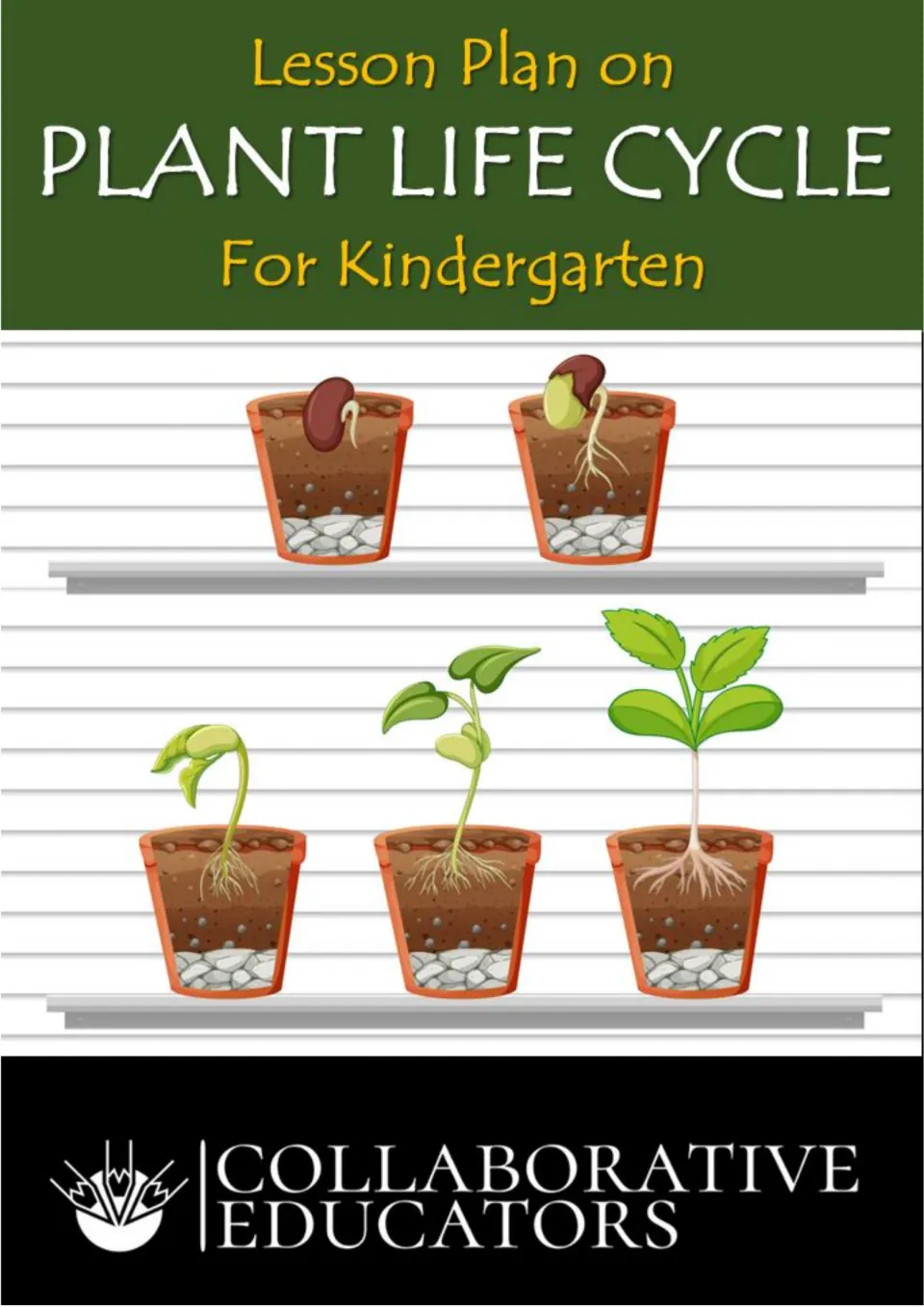 Lesson Plan on Plant Life Cycle for Kindergarten cover: potted bean seed sprouting into a leafy seedling in five stages