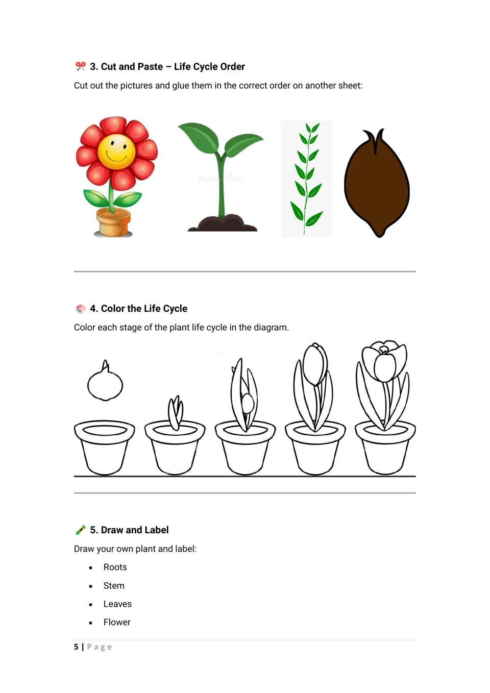 Life cycle sequencing: students cut and order four plant pictures, color a five-pot tulip diagram, draw and label a plant