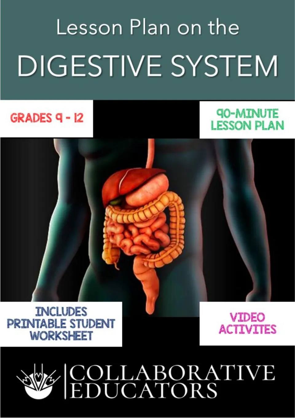 Lesson Plan on the Digestive System cover: grades 9–12, a 90-minute lesson, worksheet and video activities