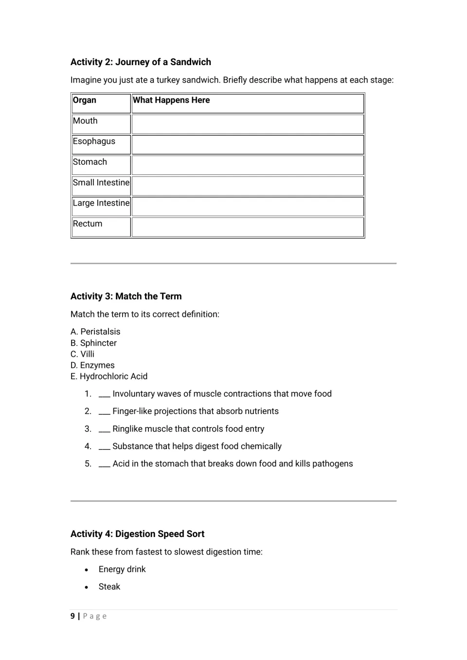 Student worksheet traces a sandwich through six organs, matches five terms and begins a digestion speed sort