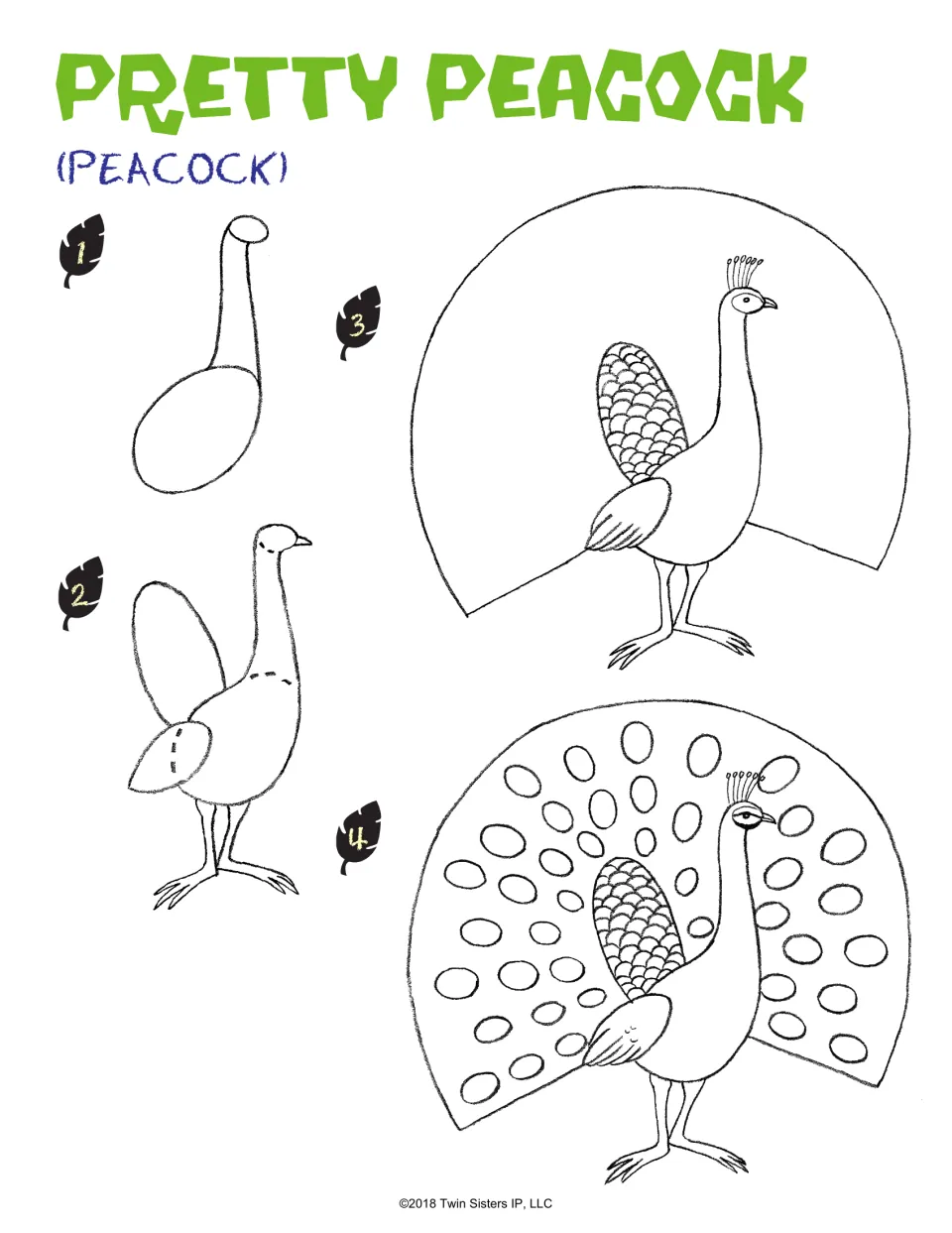 Peacock drawing lesson, steps 1–4: build the body, add legs and a crest, then sketch the tail fan and spots