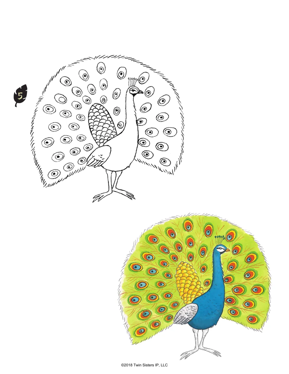 Peacock drawing lesson, step 5: finish the tail's eye patterns and feather edges, with a color example