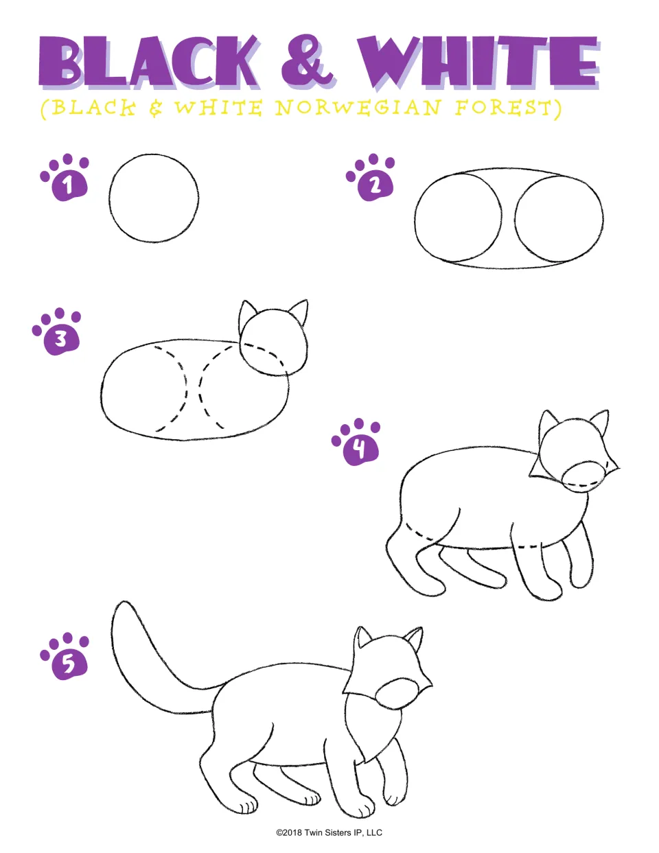 Black & White Norwegian Forest cat, steps 1-5: students build the body from circles and an oval, then add head, ears, legs