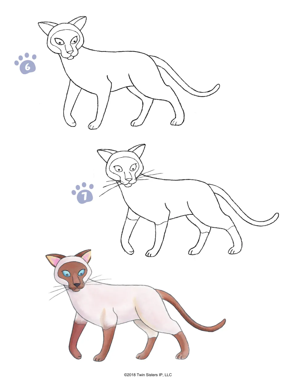 Siamese cat, steps 6-7: students add eyes, whiskers and point markings, beside a model with blue eyes and brown points