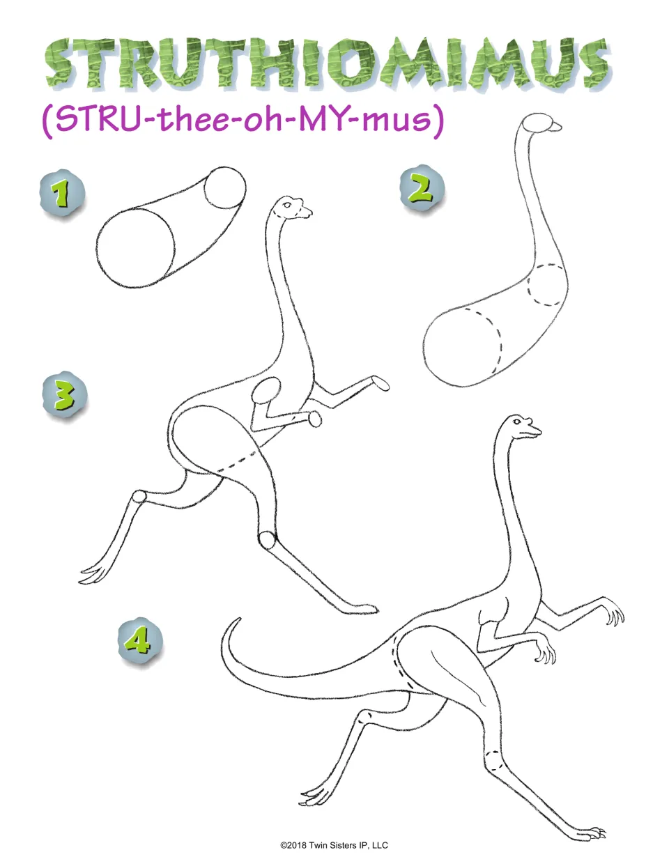 Struthiomimus steps 1-4 with pronunciation: students sketch an oval body, long neck, running legs and a curved tail