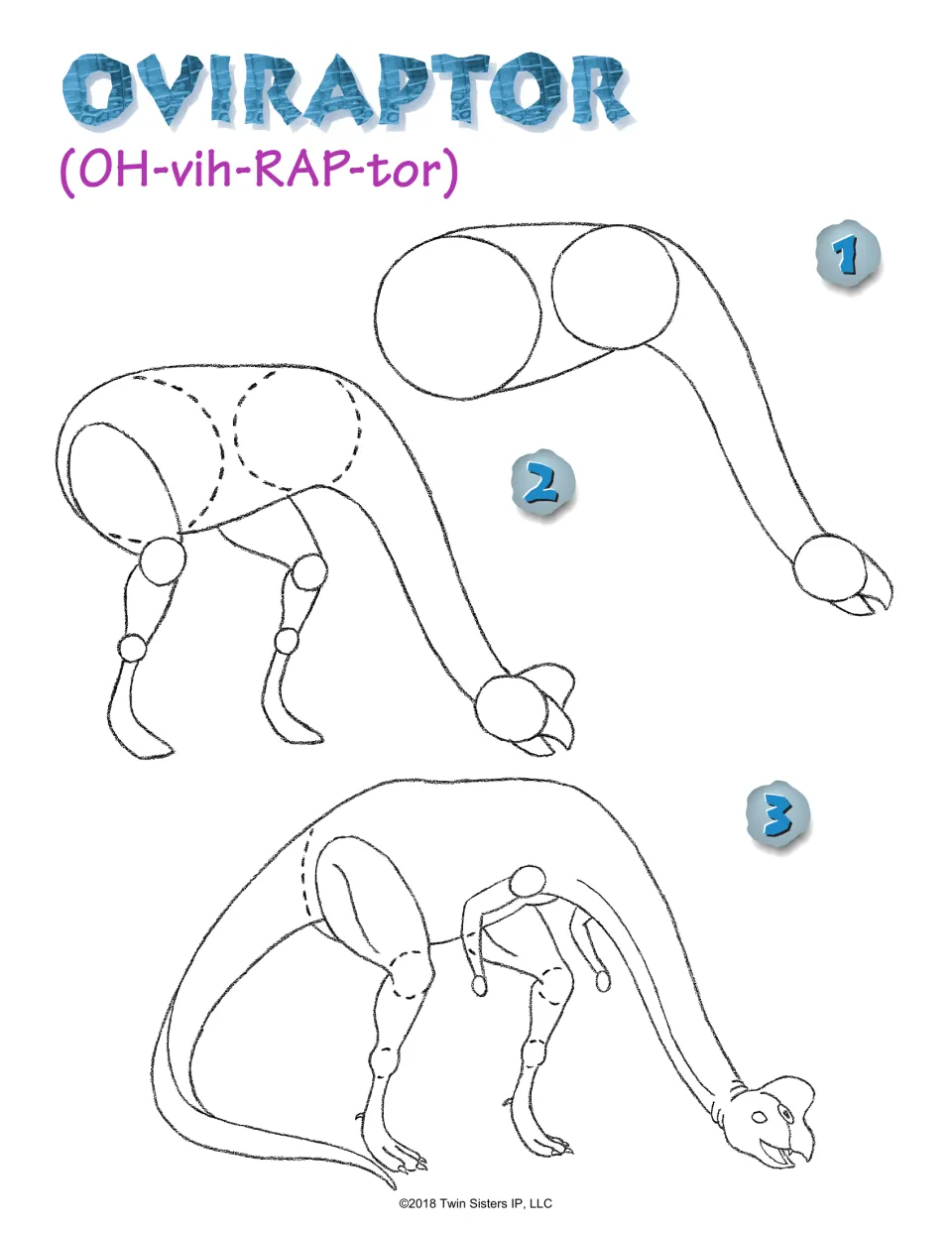 Oviraptor (OH-vih-RAP-tor) steps 1 to 3: two circles and a long neck become a bent-over body with legs and a beak