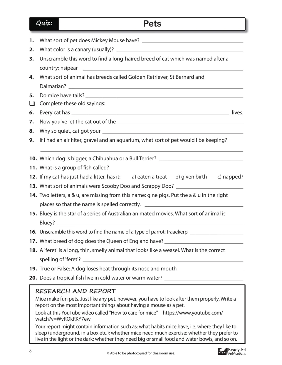 Pets quiz: 20 questions on cat sayings, dog breeds, canaries and more, plus a report on caring for pet mice