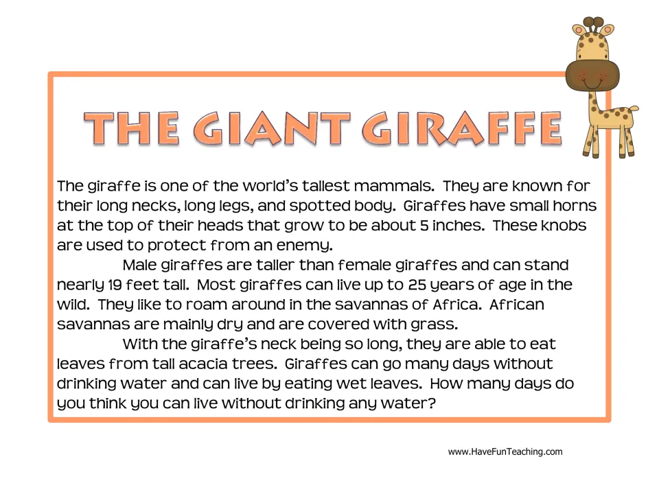 The Giant Giraffe reading passage describes giraffes' height, body features, habitat, lifespan, and diet.