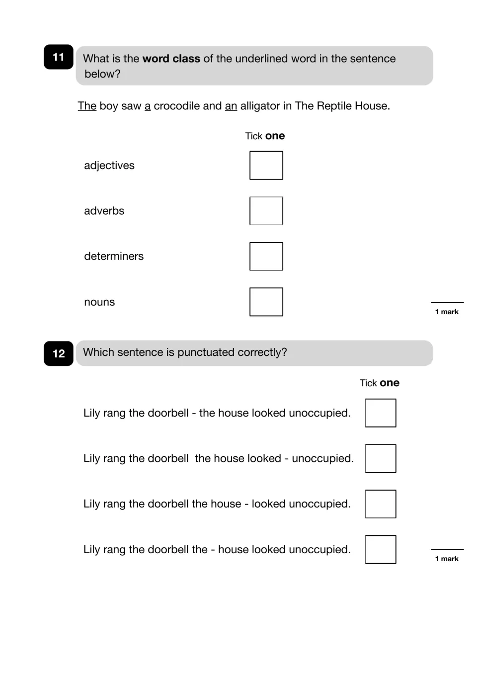Questions 11-12: students name the word class of the, a and an, then tick the Lily sentence with a correct dash