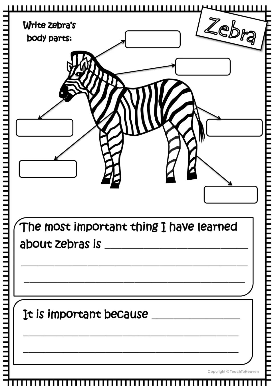 Zebra body parts labeling: students write six body parts, then the most important thing learned and why