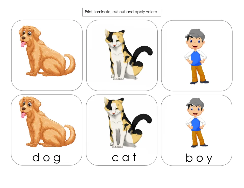 Spelling card sheet for dog, cat and boy: six cut-out cards pairing unlabeled pictures with labeled versions