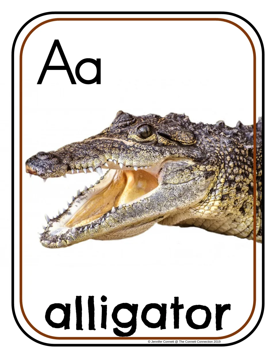 Letter A photograph poster/card showing uppercase A, lowercase a, and an open-mouthed alligator labeled 'alligator'