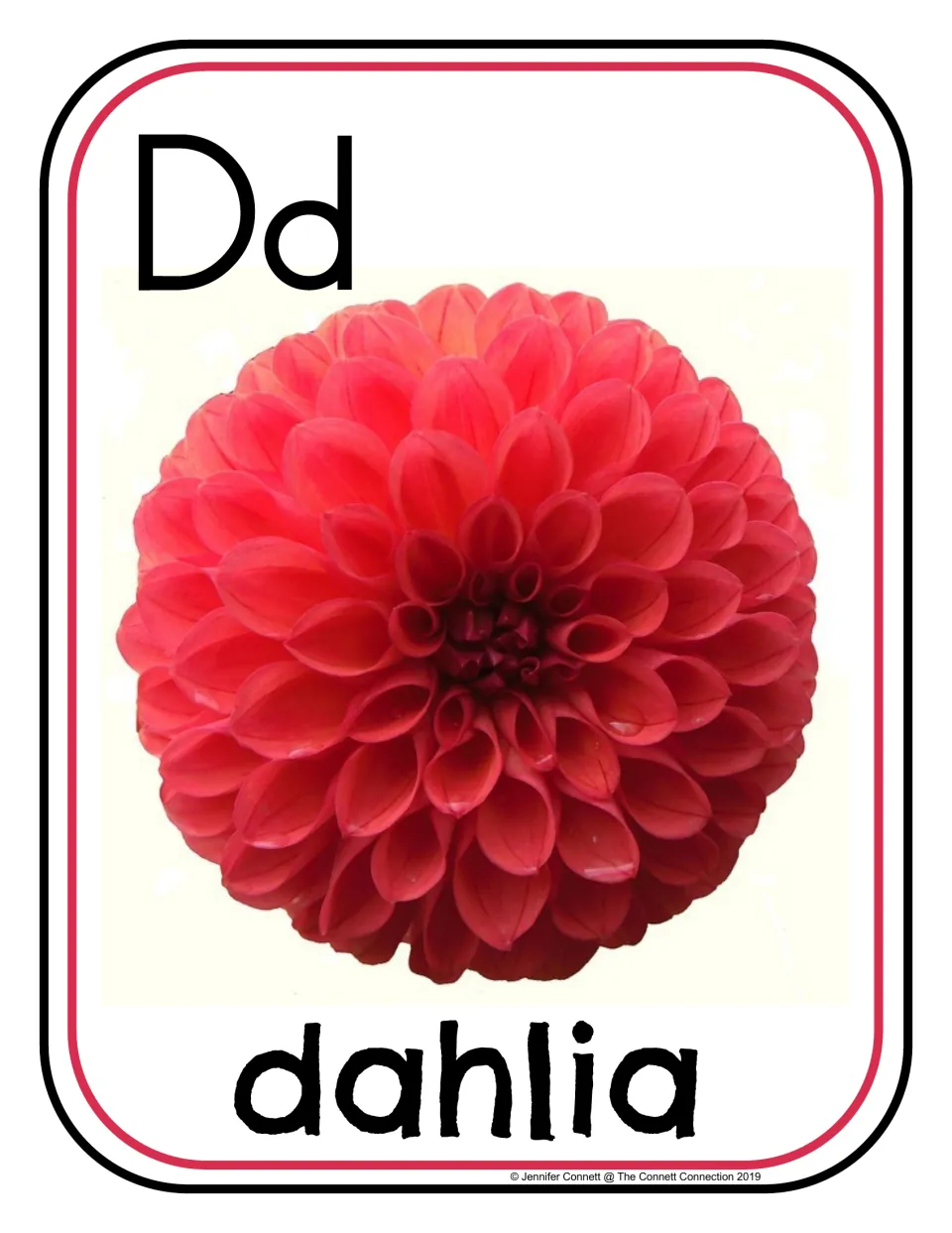 Letter D photograph poster 2 of 24, showing uppercase D, lowercase d, and a red flower labeled 'dahlia'