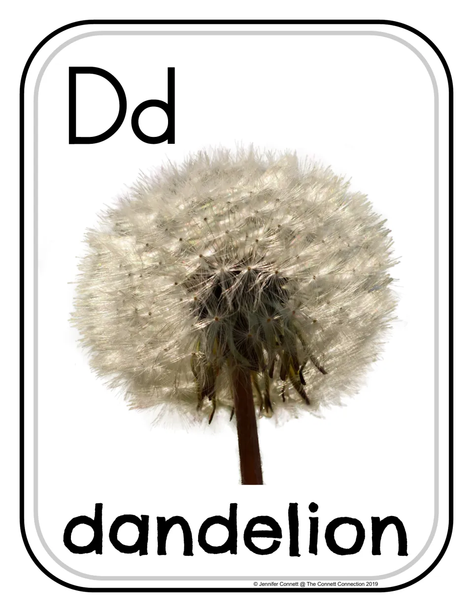 Letter D photograph poster 3 of 24, showing uppercase D, lowercase d, and a seed head labeled 'dandelion'