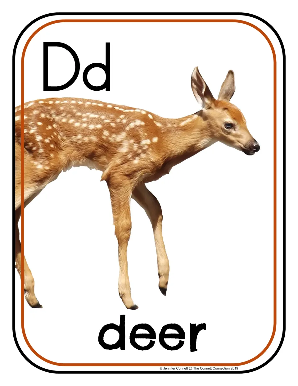 Letter D photograph poster 6 of 24, showing uppercase D, lowercase d, and a young deer labeled 'deer'