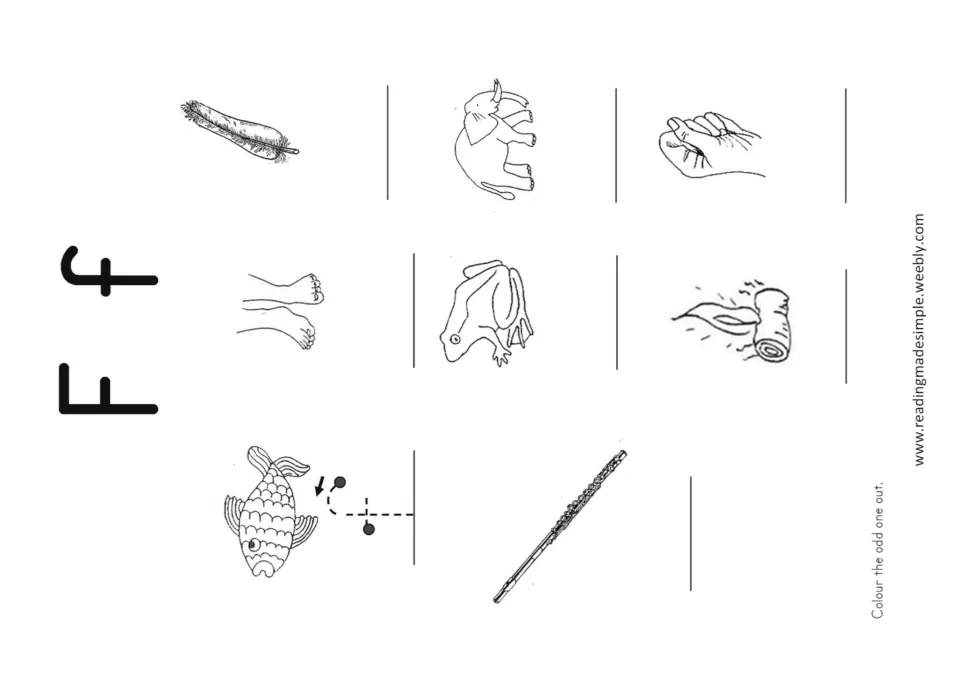 Odd one out for F f: students name feather, elephant, frog, flute and more, then colour the odd one out in each row
