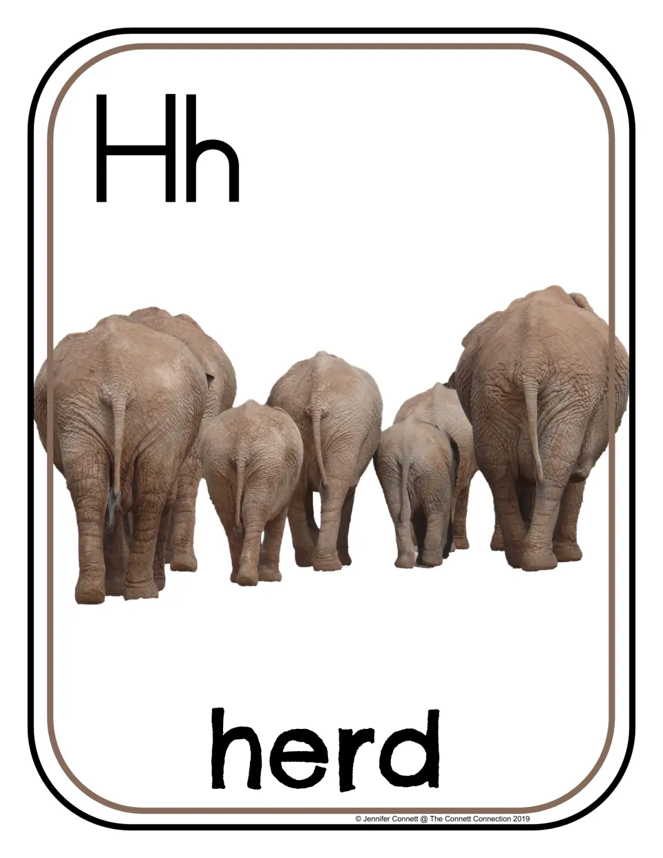 Letter H photograph poster/card 8 of 20, showing uppercase H, lowercase h, and elephants labeled 'herd'