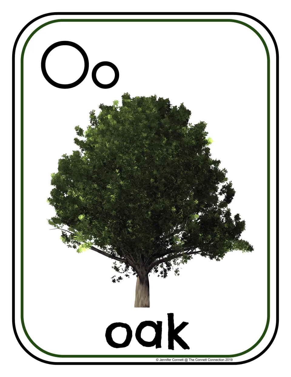 Letter O poster/card 1 of 16: uppercase O, lowercase o, and an oak tree photograph labeled 'oak'.