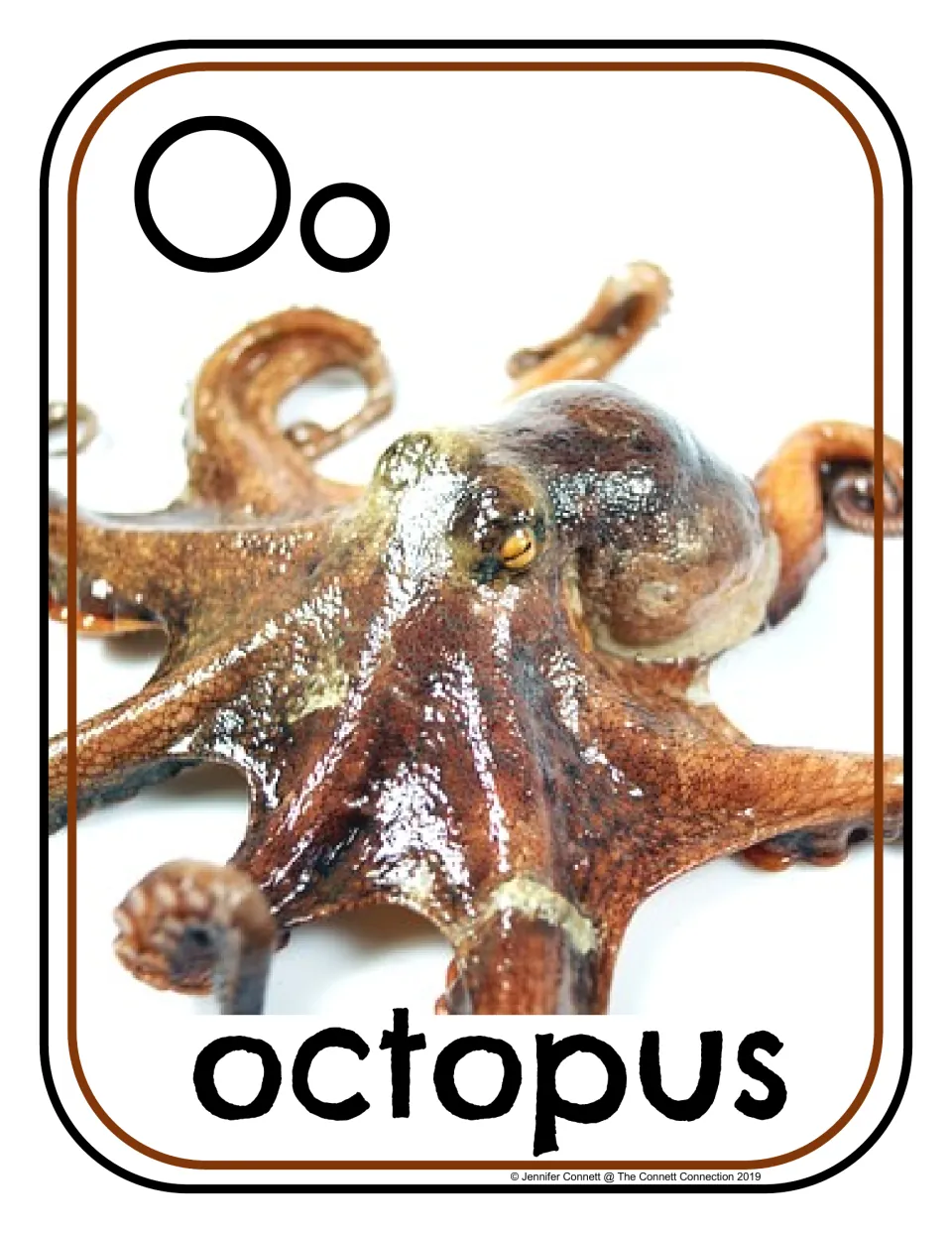 Letter O poster/card 5 of 16: uppercase O, lowercase o, and an octopus photograph labeled 'octopus'.