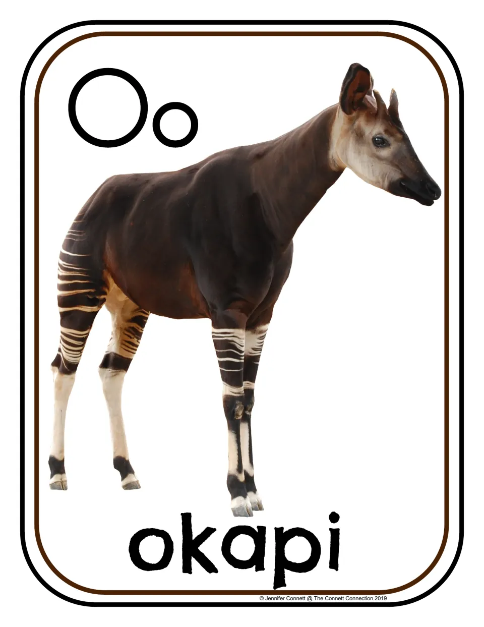 Letter O poster/card 7 of 16: uppercase O, lowercase o, and a photograph of an okapi labeled 'okapi'.