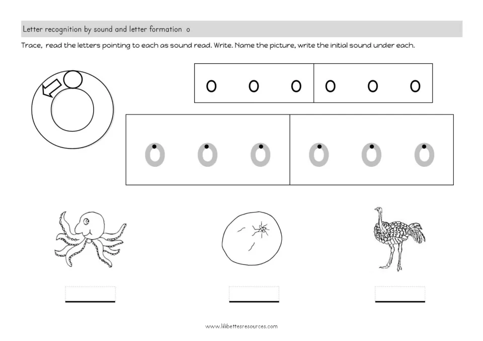 Letter o formation: students trace o, then name pictures such as an octopus and an ostrich and write each first sound