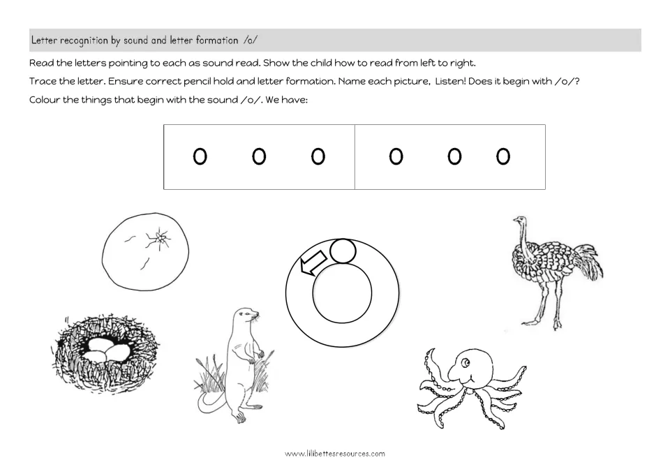Beginning sound /o/: students read a row of o's, trace a large o, then colour pictures like octopus, otter and ostrich