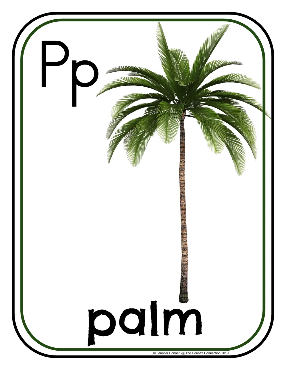 Letter P photo poster/card showing uppercase P, lowercase p, and a palm tree labeled 'palm' for phonics practice