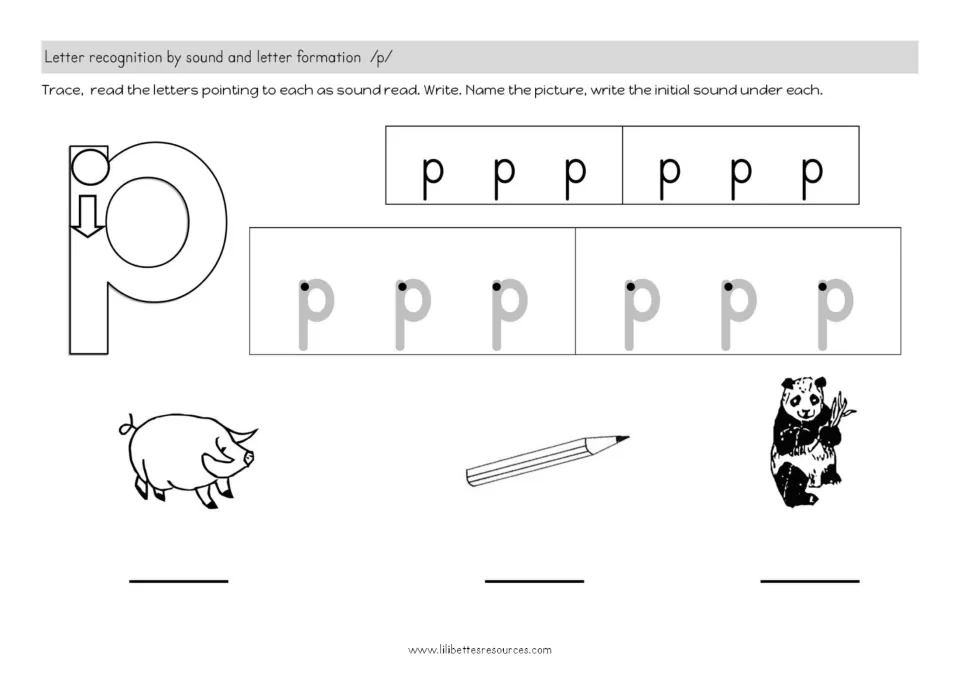 Letter p sound and formation: students trace p, read the letters, name a pig, pencil and panda and write the first sound