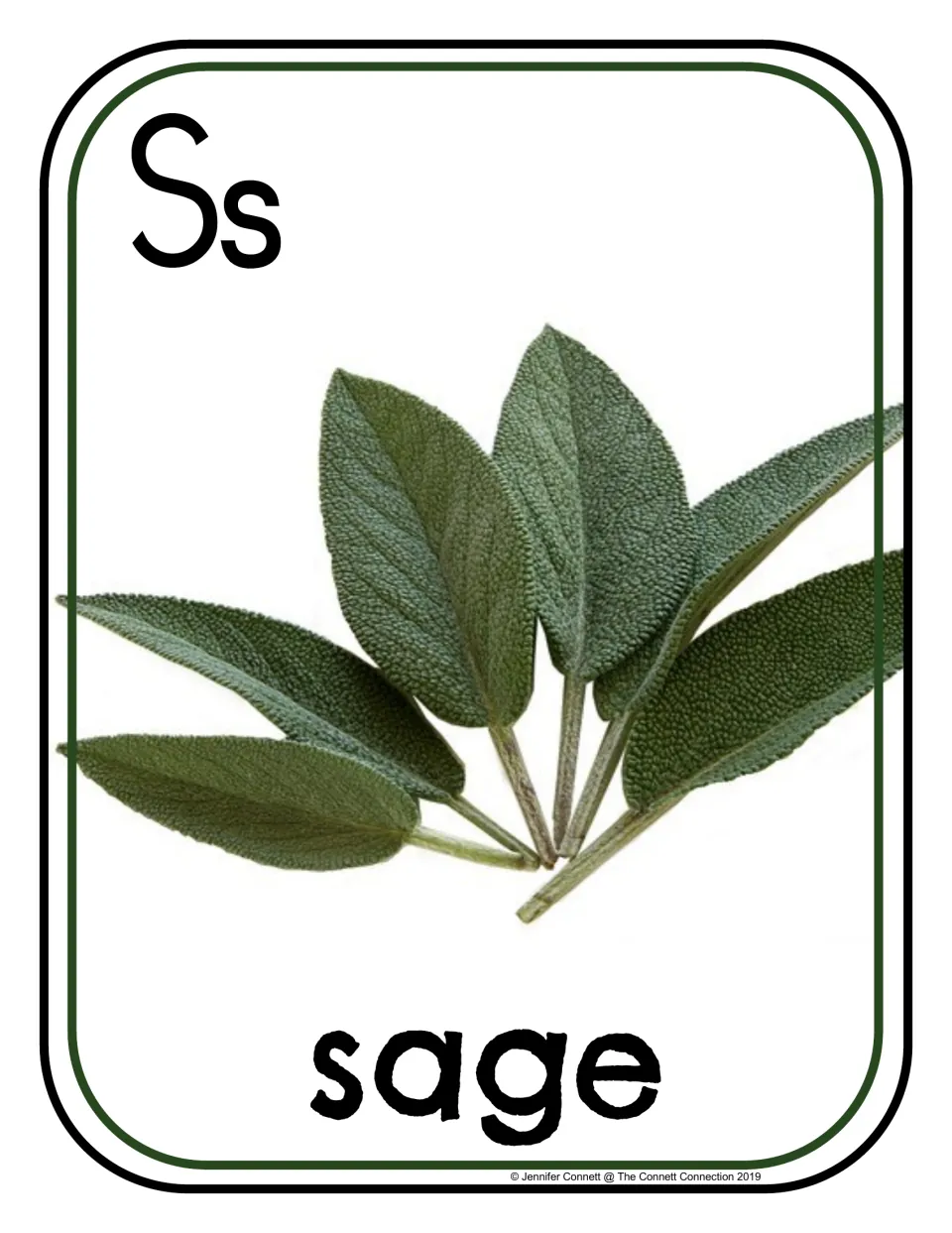 Letter S photo poster/card showing uppercase S, lowercase s, and sage labeled 'sage' for phonics practice