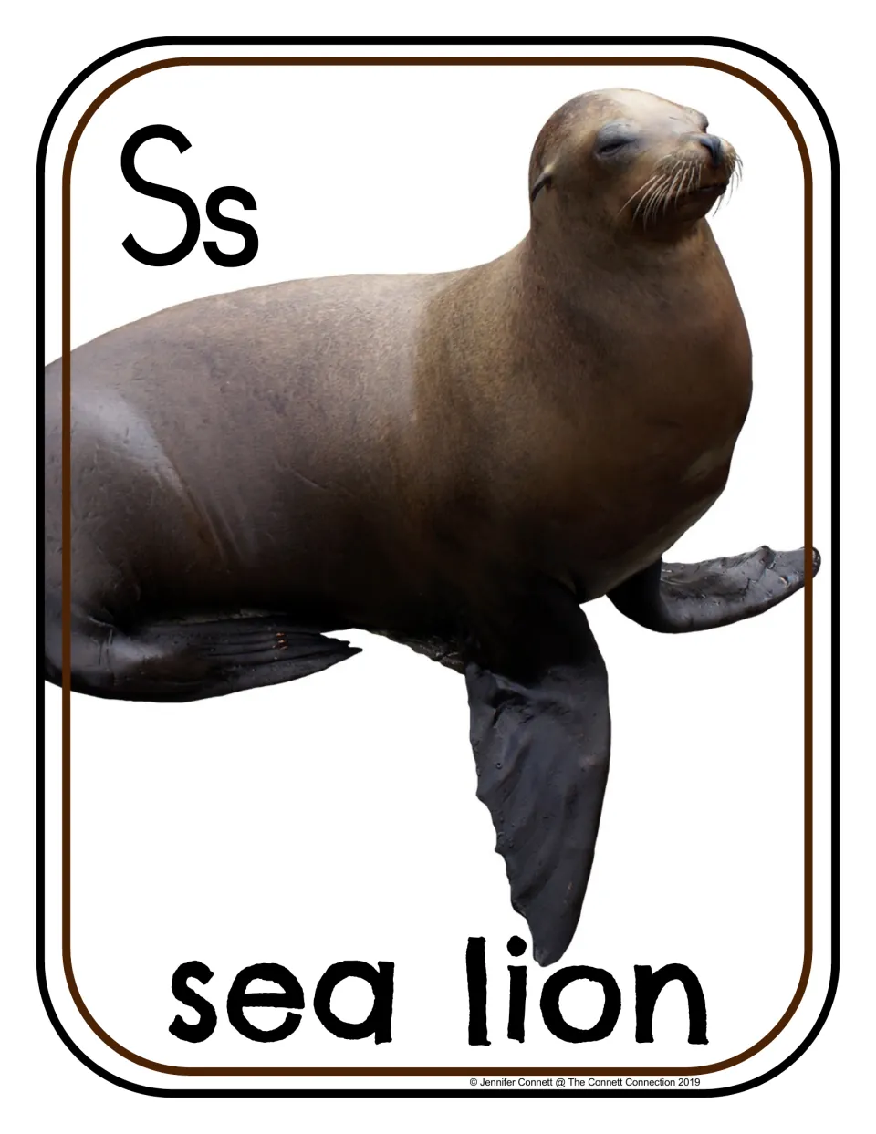 Letter S photo poster/card showing uppercase S, lowercase s, and a sea lion labeled 'sea lion'