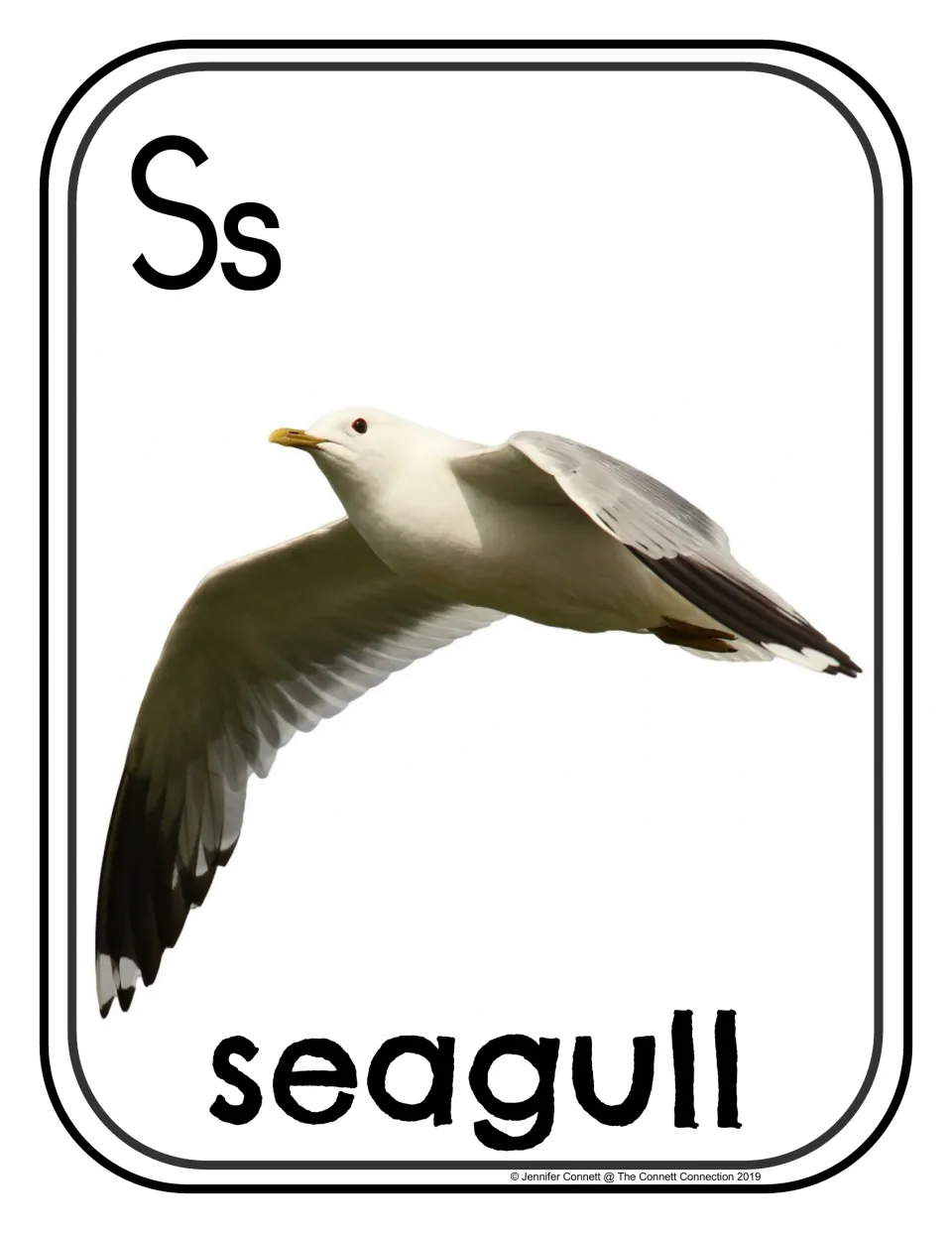 Letter S photo poster/card showing uppercase S, lowercase s, and a flying seagull labeled 'seagull'