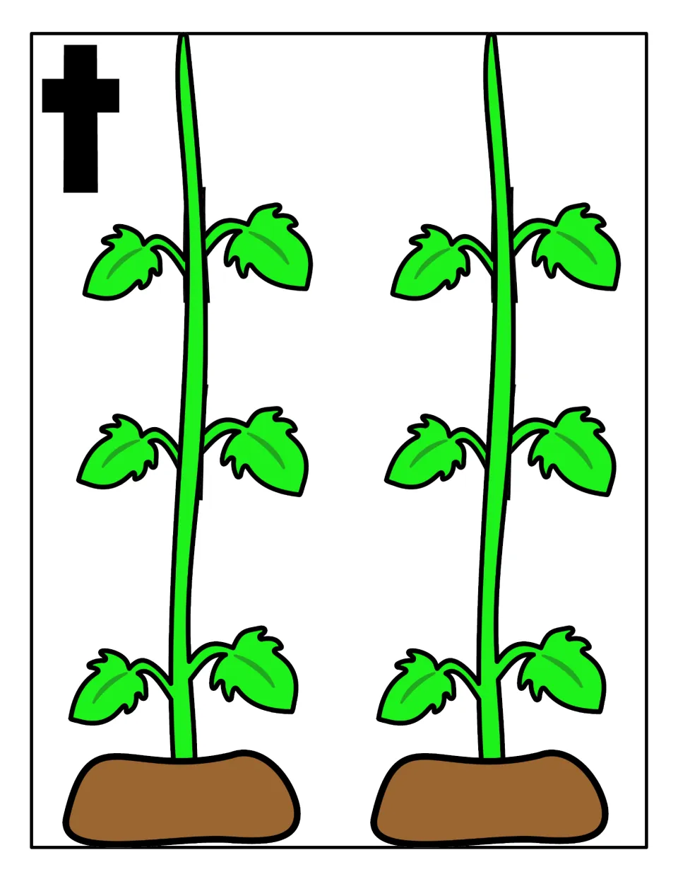 Lowercase t sorting mat: two leafy tomato vines where students place each tomato showing a lowercase t