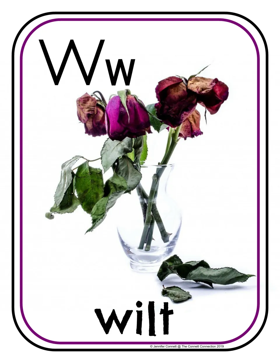 Letter W phonics poster/card 8 of 16, showing uppercase W, lowercase w, and a photograph labeled "wilt"