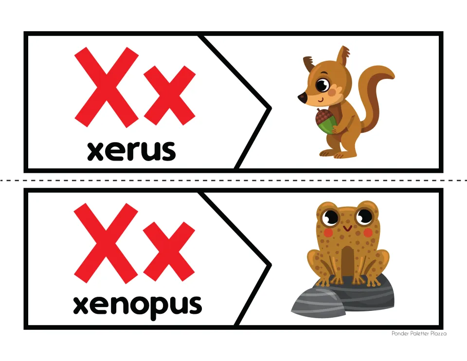 Xx animal puzzles: students match the words xerus and xenopus to pictures of a ground squirrel and a frog on a rock