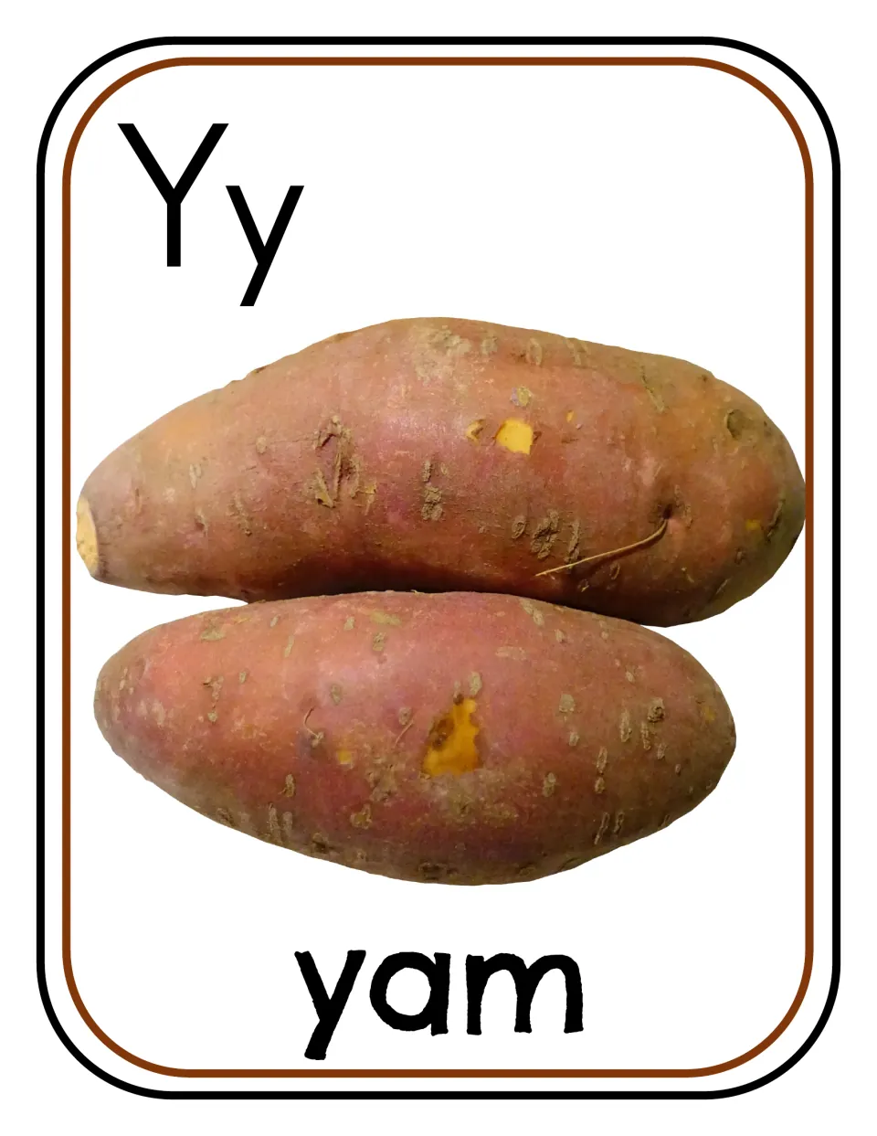 Letter Y photo poster/card 3 of 12, showing uppercase Y, lowercase y, and two tubers labeled 'yam'