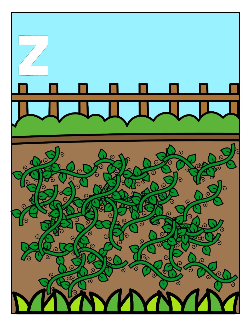 Lowercase z sorting mat: a garden bed of vines labeled z where students place the zucchini cards with the small letter z
