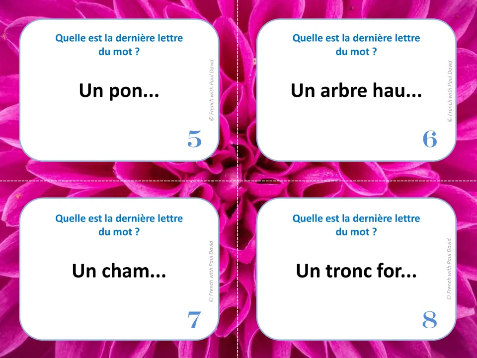French silent final letter cards 5–8: complete “Un pon...,” “Un arbre hau...,” “Un cham...” and “Un tronc for...”