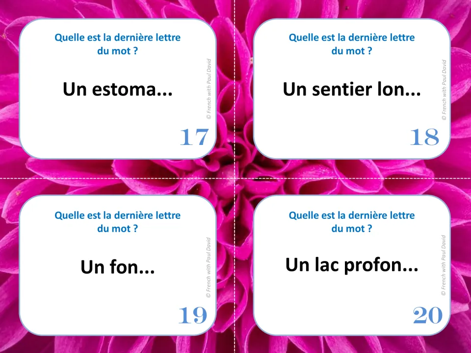 French silent final letter cards 17–20: “Un estoma...,” “Un sentier lon...,” “Un fon...” and “Un lac profon...”