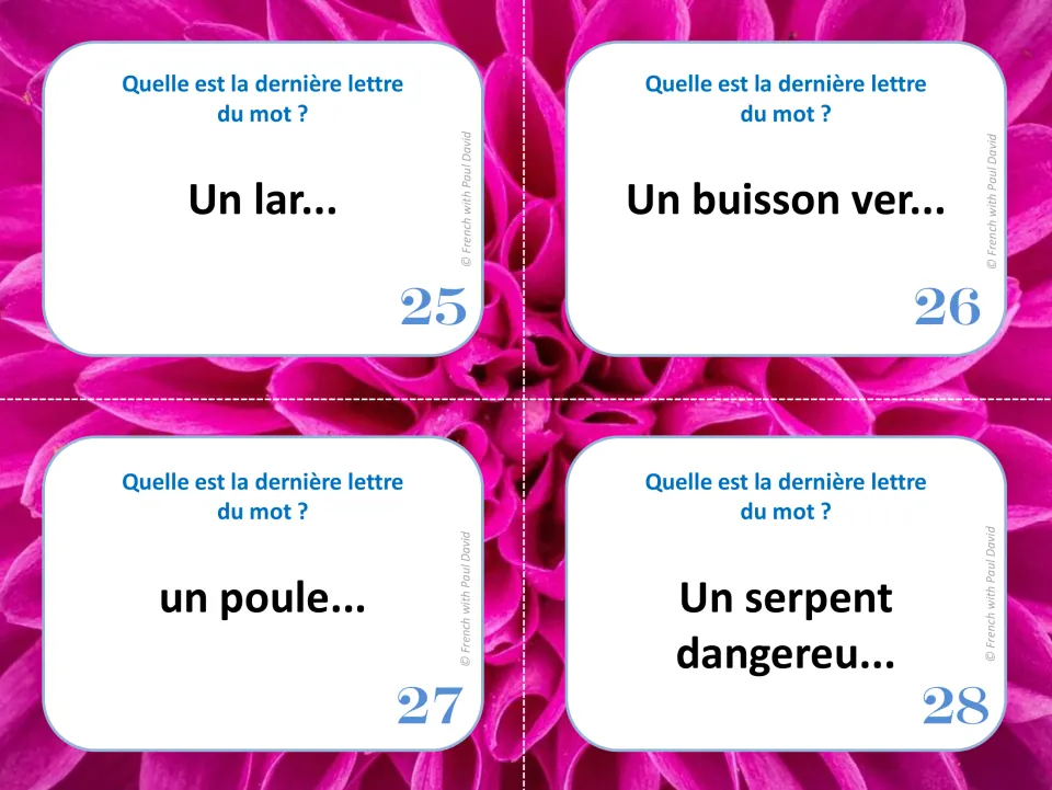 French silent final letter cards 25–28: “Un lar...,” “Un buisson ver...,” “un poule...” and “Un serpent dangereu...”