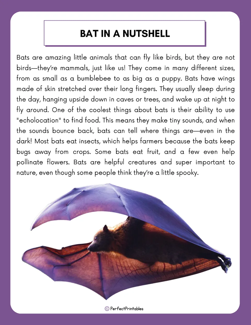 Bat in a Nutshell reading passage on bats as mammals, skin wings, sleeping upside down, echolocation and diet