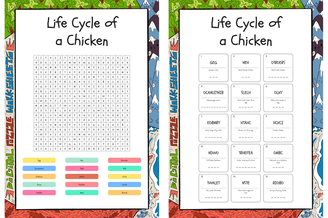 Life Cycle of a Chicken word search, scramble and crossword puzzles – cover