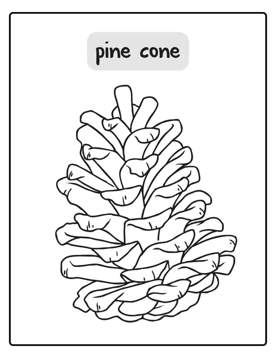 Pine cone coloring poster, first life cycle stage: students color a large cone with open, overlapping scales
