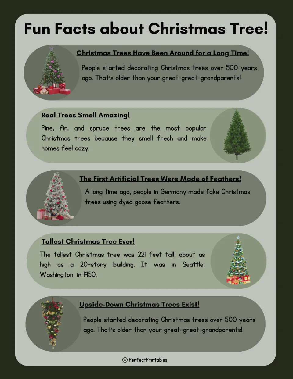 Christmas tree facts page covers decorating history, tree scents, feather trees, and a 221-foot tree in Seattle.