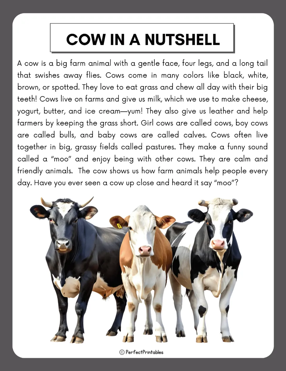 Introductory cow reading covers appearance, food, farm products, herds, and the names bulls and calves.