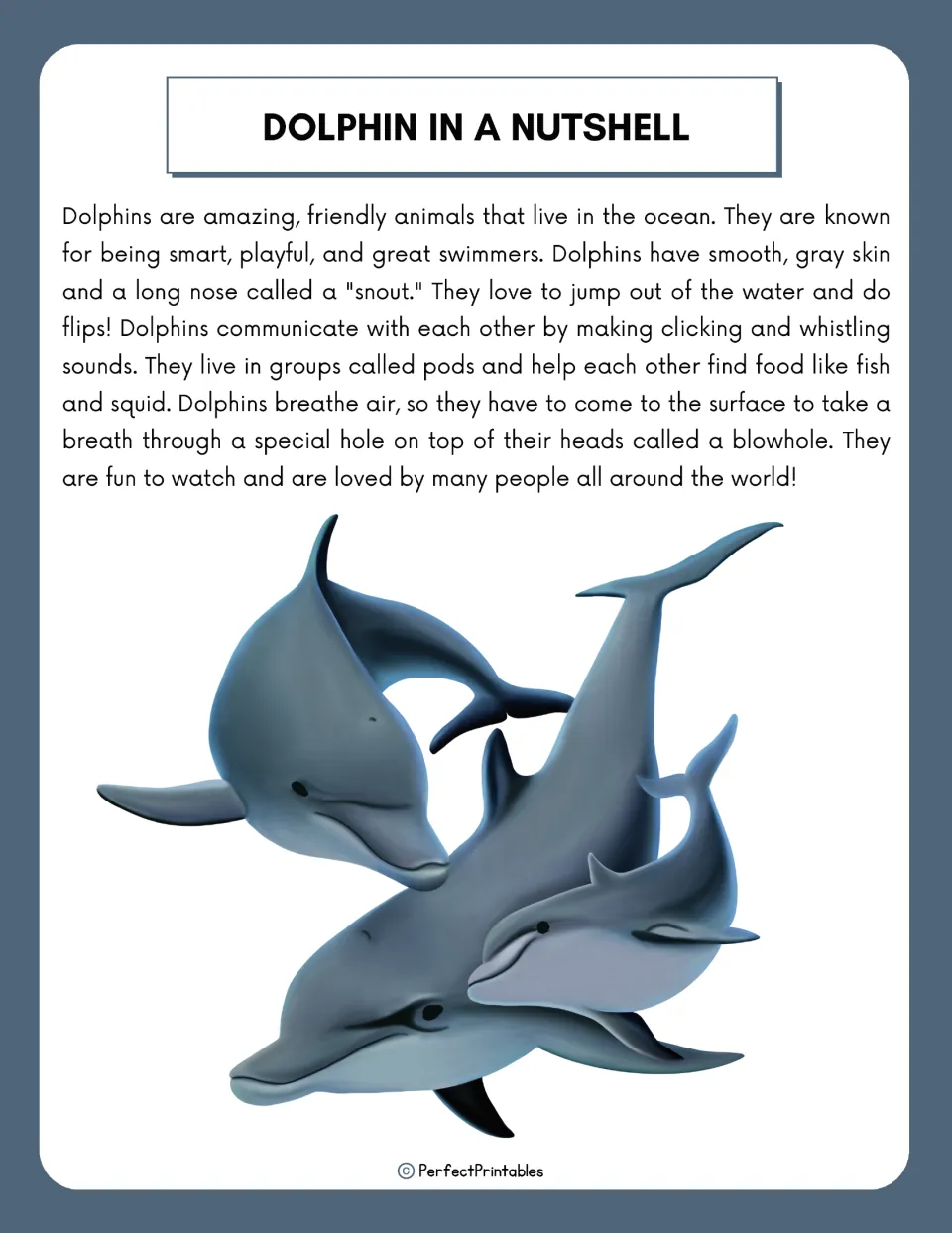 Dolphin in a Nutshell reading passage: dolphins live in pods, breathe through a blowhole and talk with clicks and whistles